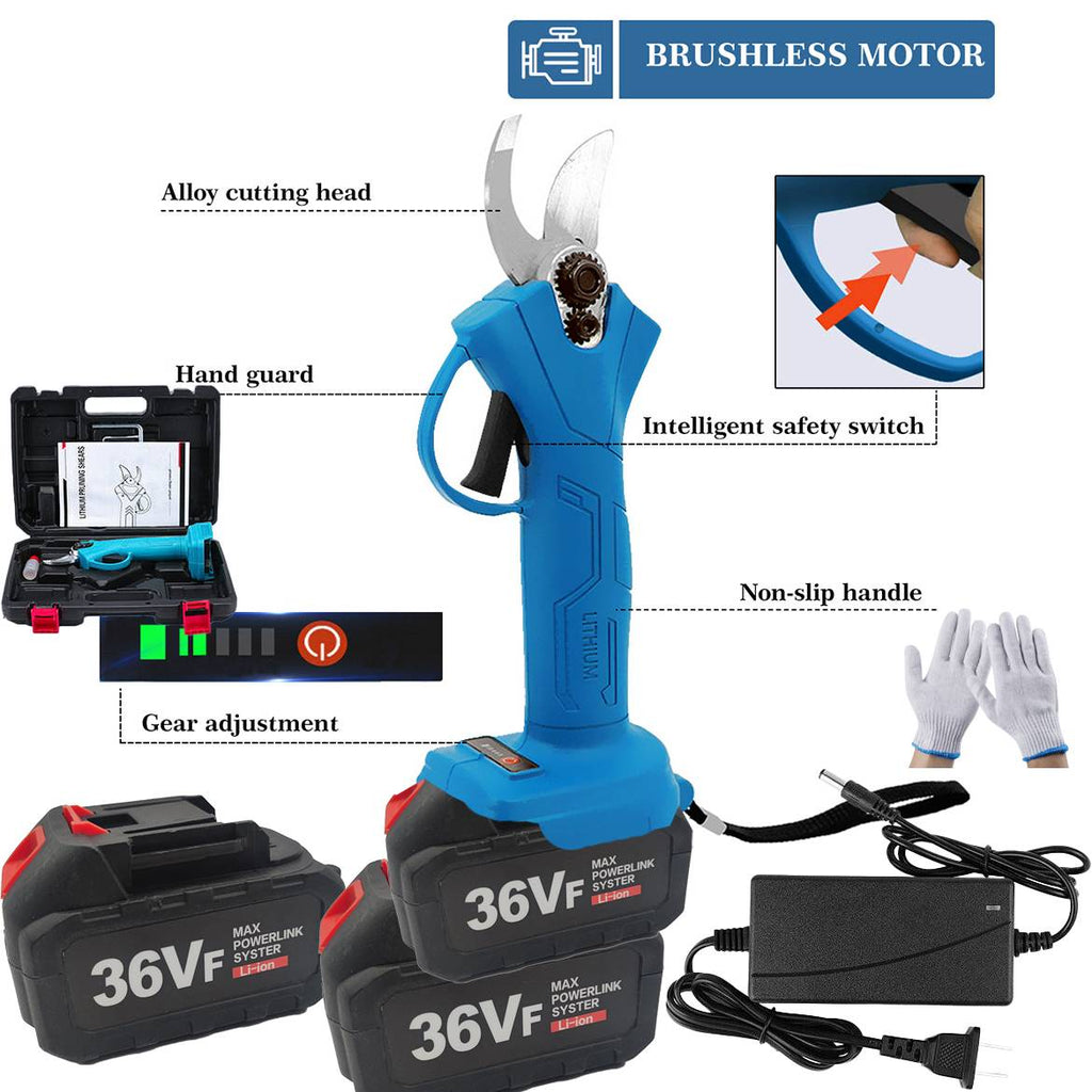 Lithium Ion Pruning Machine Box With Dual Batteries