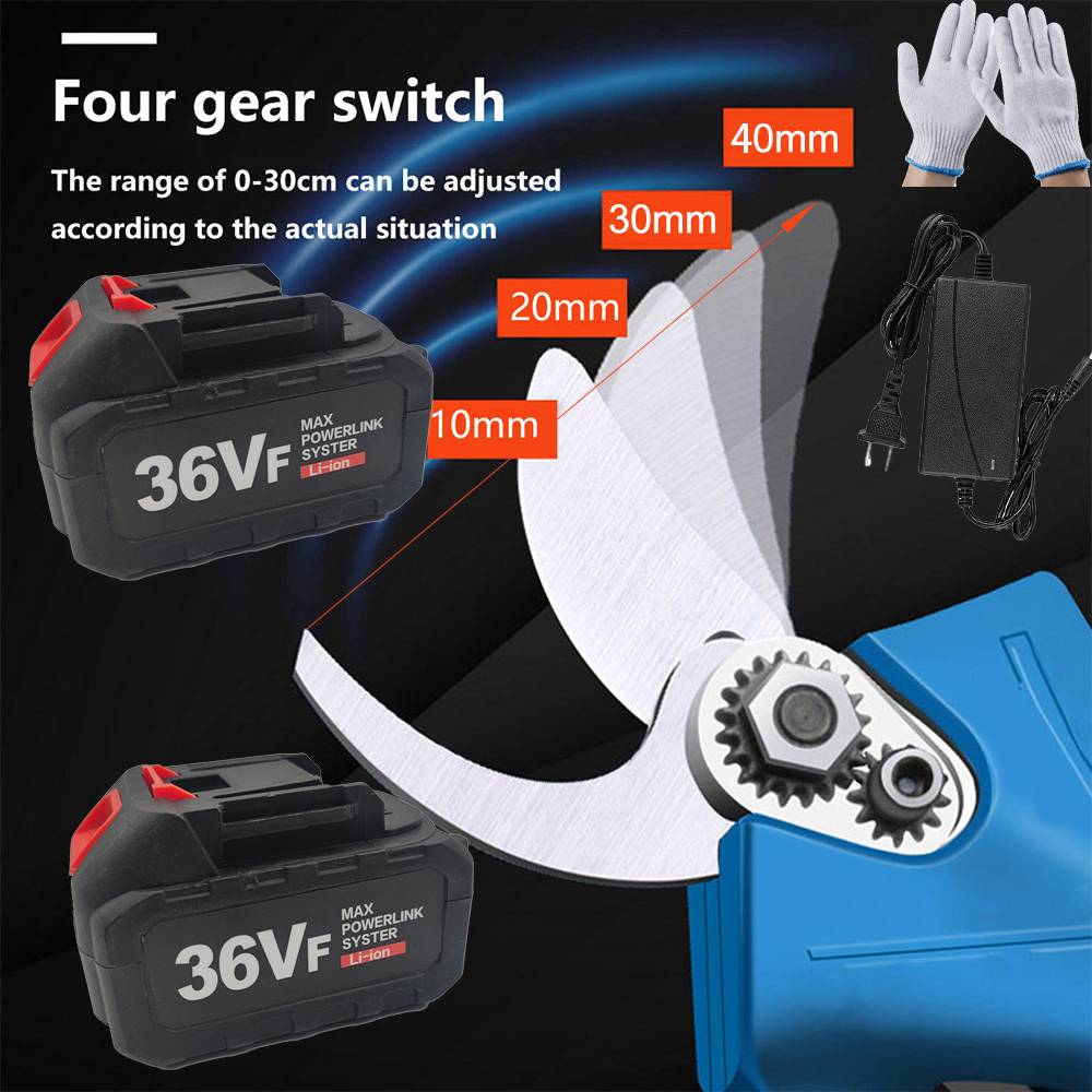 Lithium Ion Pruning Machine Box With Dual Batteries
